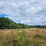 Frische Brise Wohnung 1505